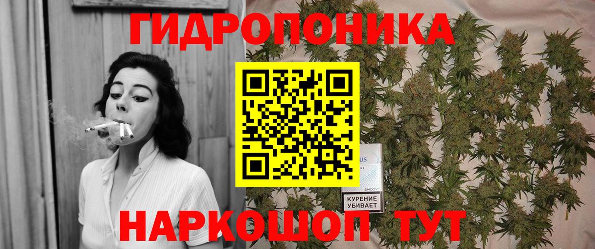 Бошки Шишки OG Kush  МАРИХУАНА ГИДРОПОН  Вход с VPN  Бошки Шишки ГИДРОПОН  Алексин 